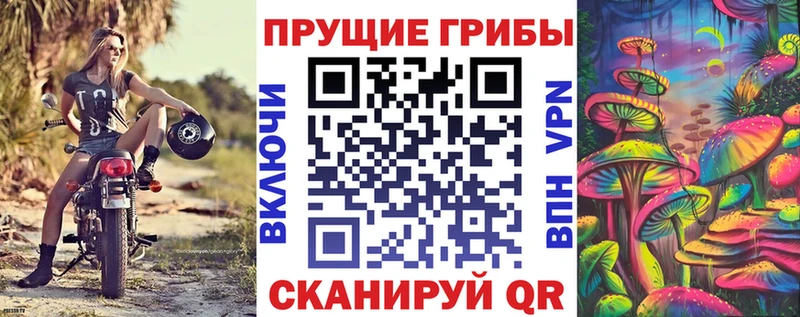 Купить  Ликино-Дулёво  Галлюциногенные грибы ЛСД 